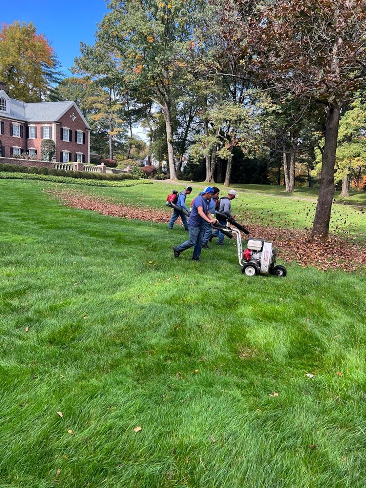 Guilmer Landscaping