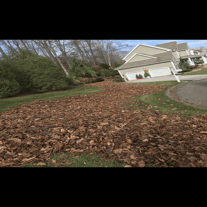 Prenetas Landscaping LLC