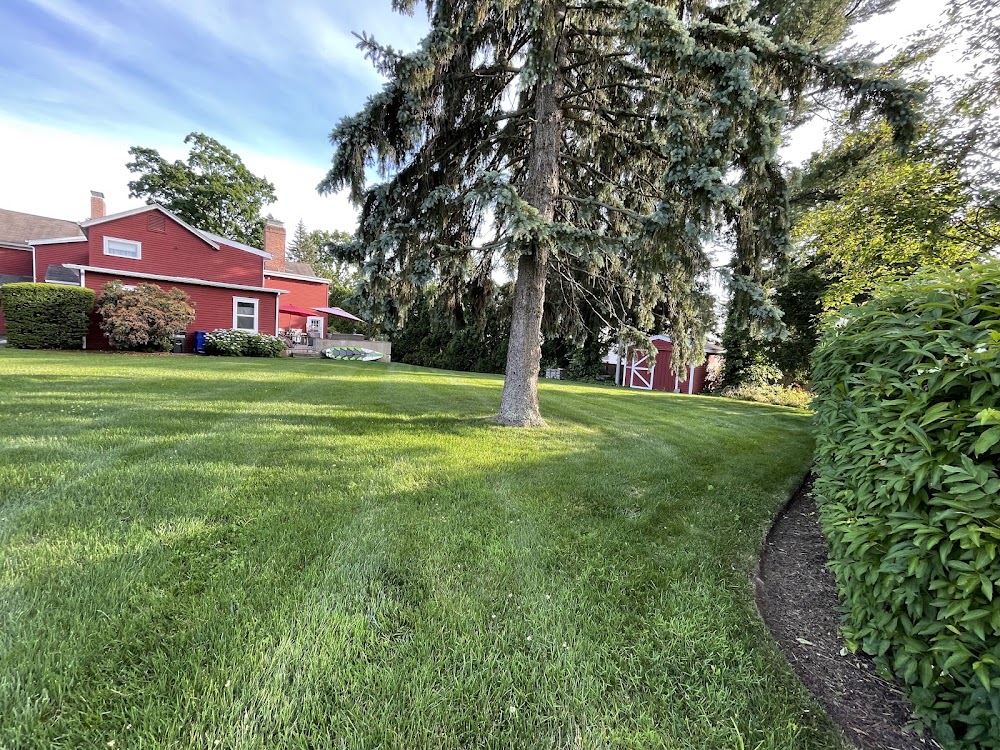 A Plus Ornamental & Turf Specialists LLC
