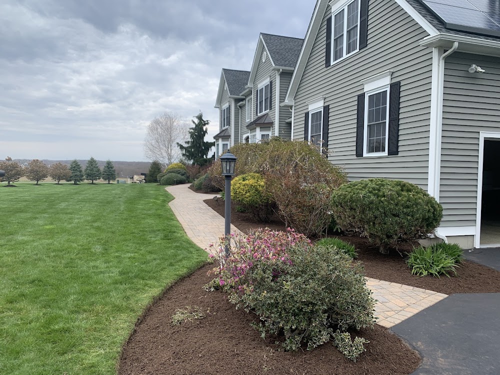 Total Lawn Care & More