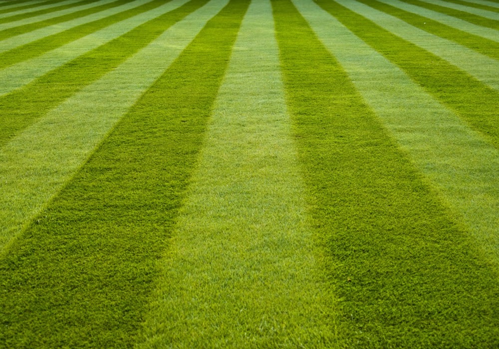 LAWN-N-ORDER Landscaping