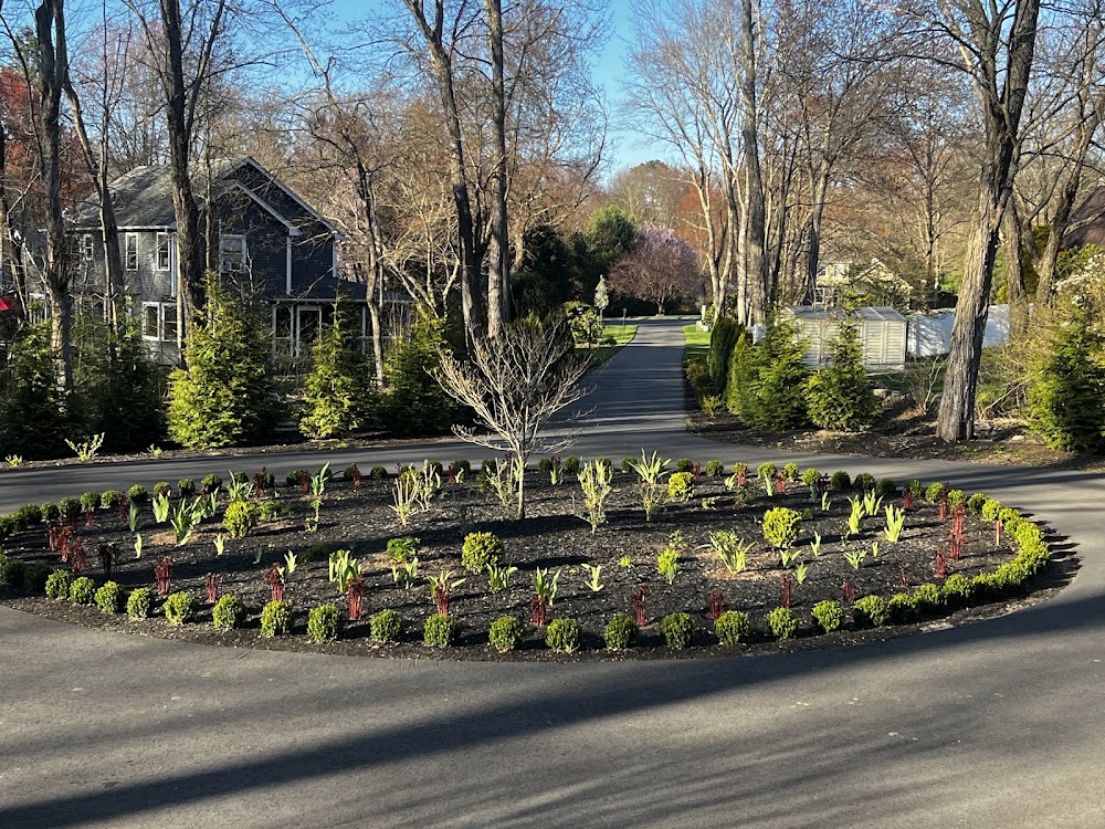 Parham Tree & Home Services
