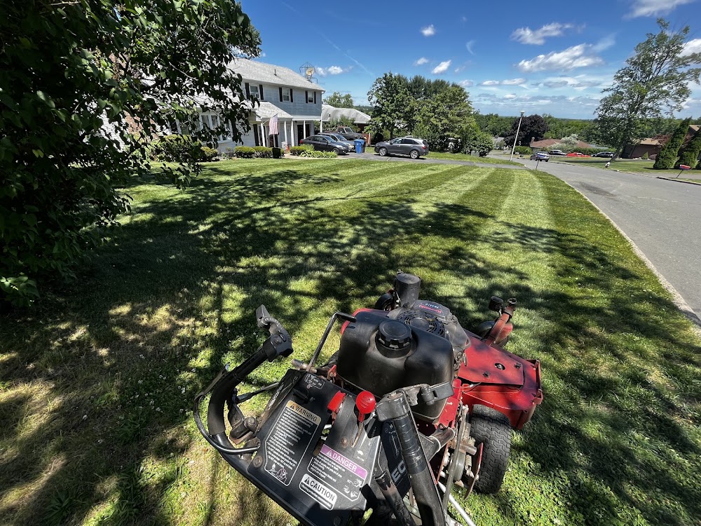 Strictly Landscaping LLC