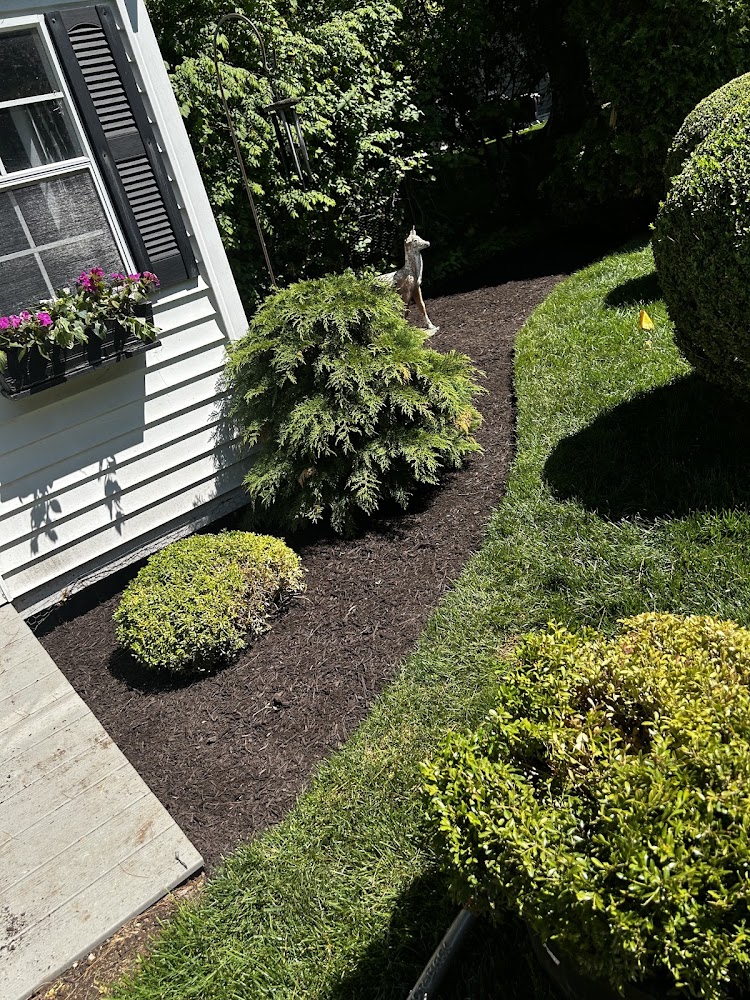 Erazo landscaping