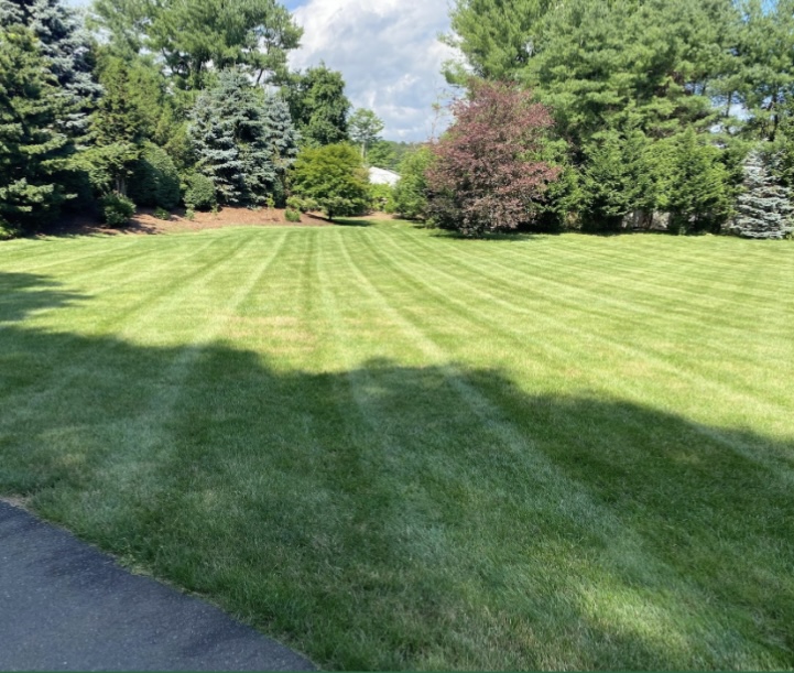 N&J Lawn Care