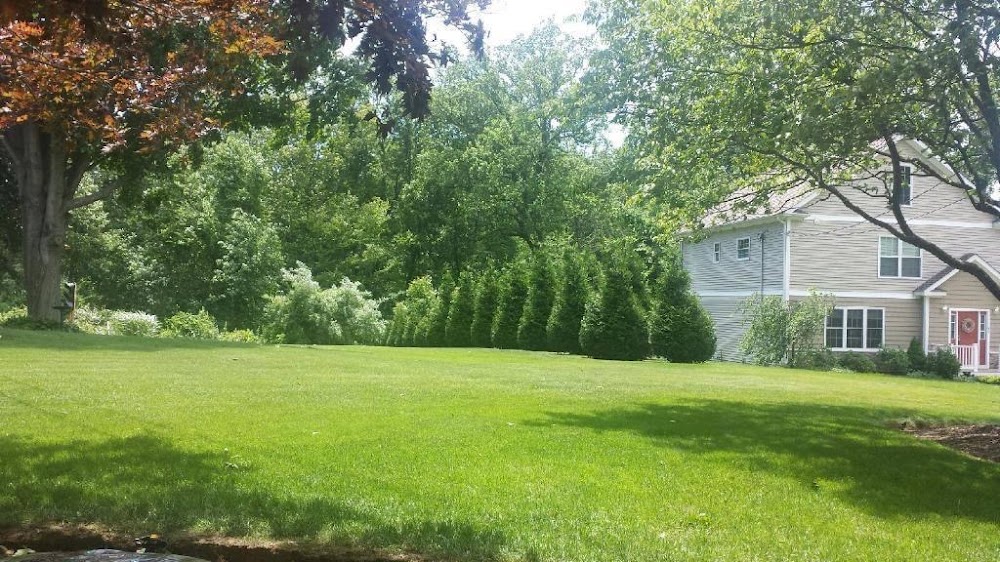 Segundo & Sons Landscaping LLC.