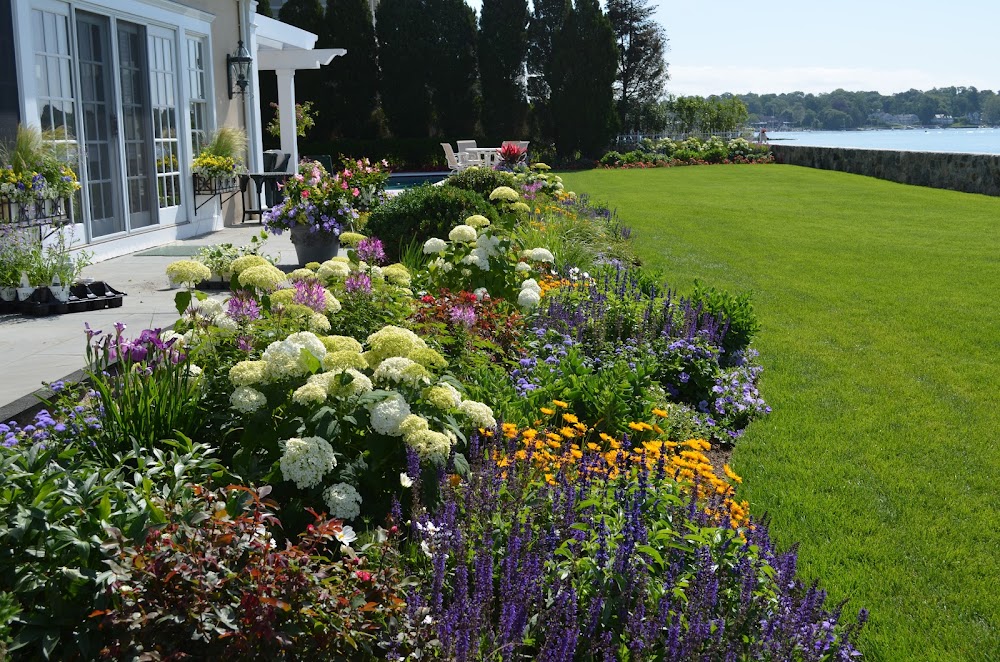 Complete Designs Landscapes