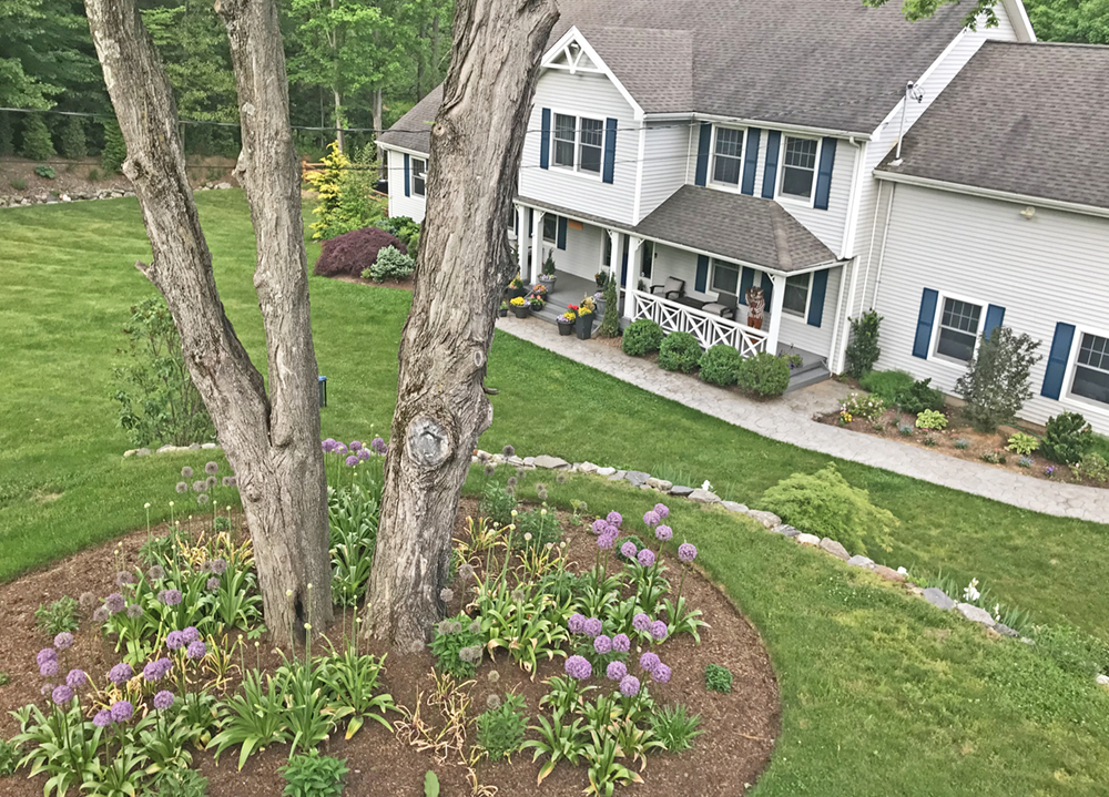 Northeast Horticultural Services