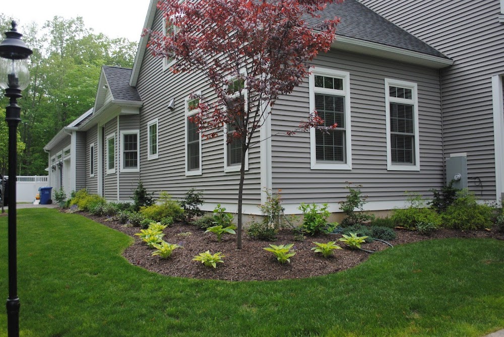 Viola Lawn Service & Landscaping, LLC
