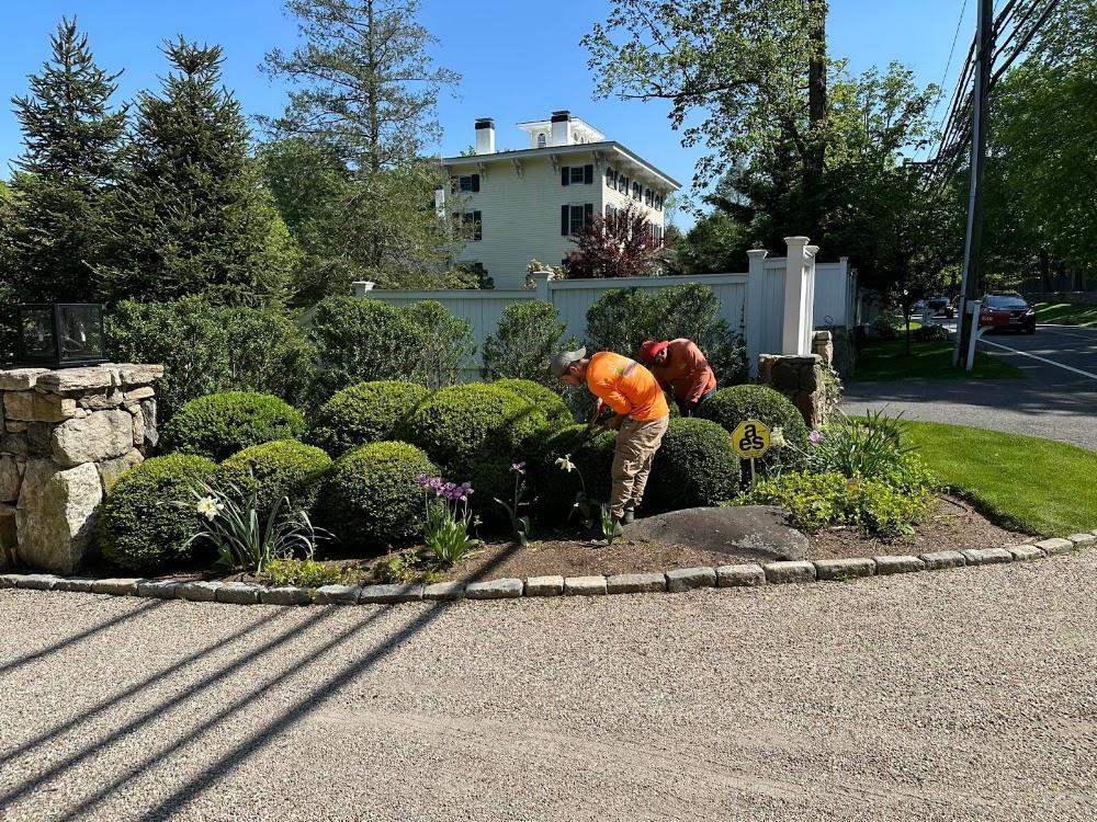All Seasons Maintenance