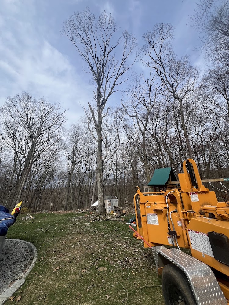 Garcí’s tree removal & landscaping LLC