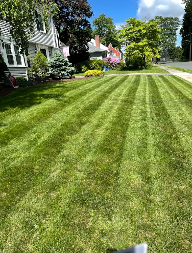 Distinguished Lawns