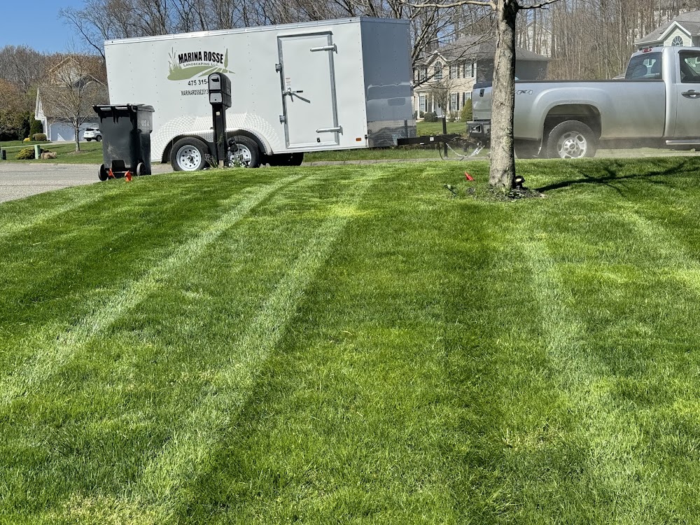 Marina Rosse landscaping LLC
