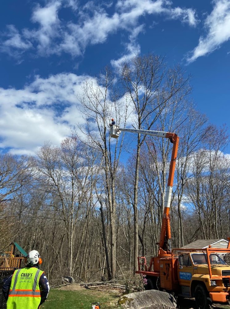Chad's Tree Service
