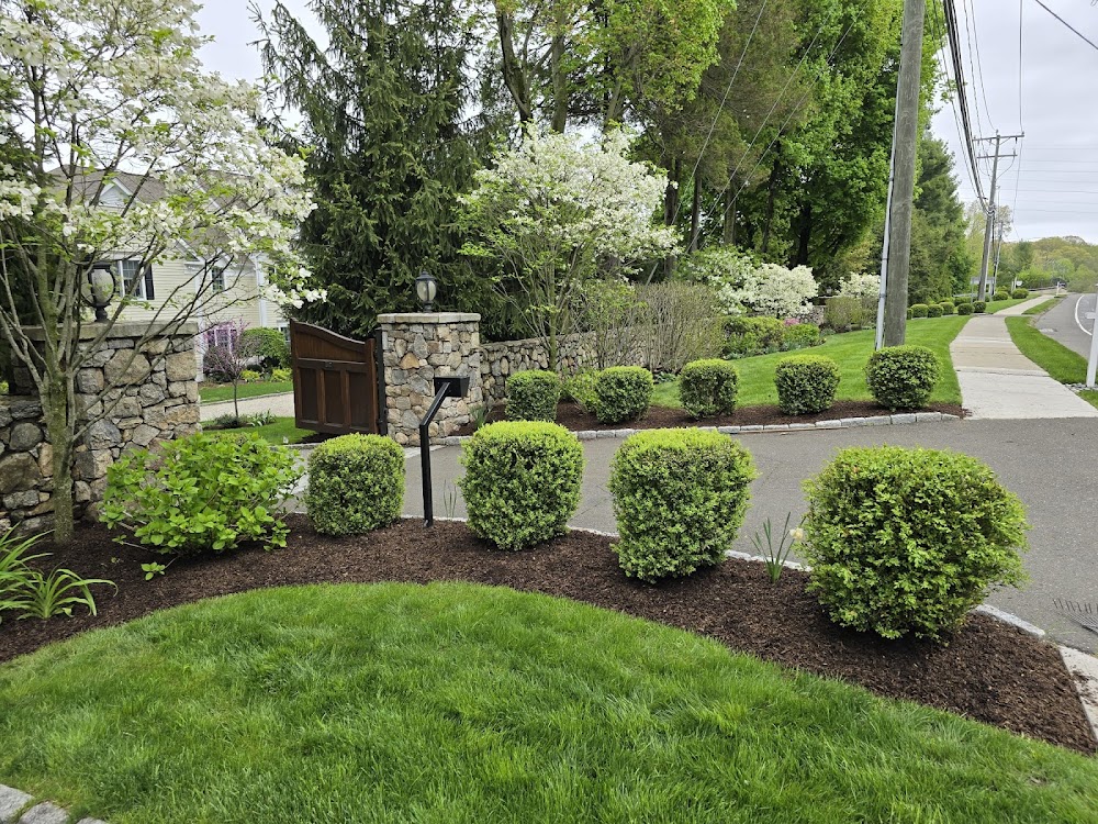 Sam's Garden Service & Landscape Maintenance Services