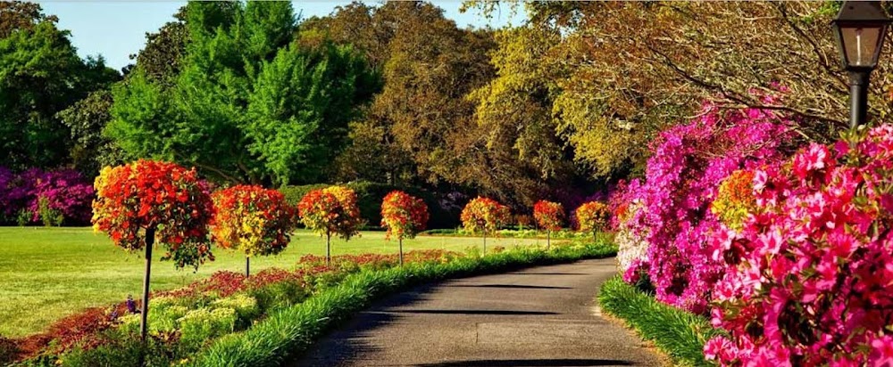 Mendieta Landscaping LLC