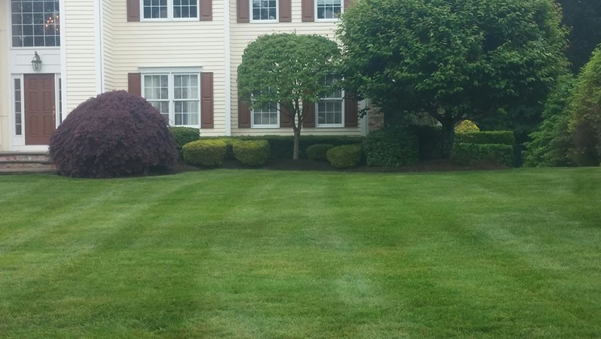 Tochi's Landscaping LLC