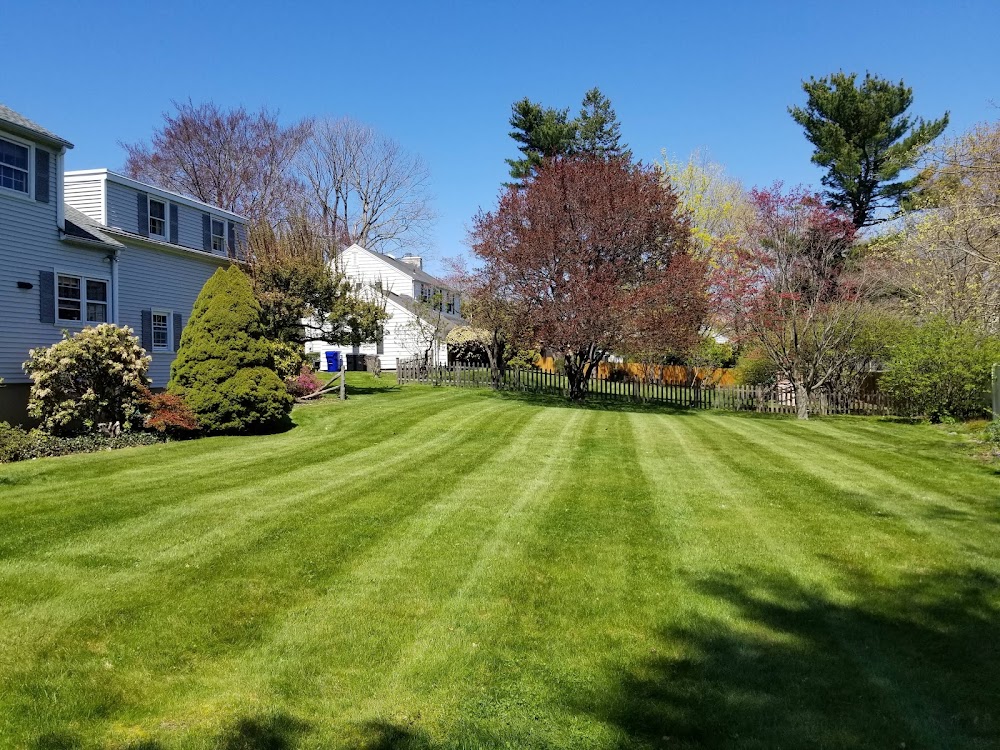 Maplewood Landscaping LLC