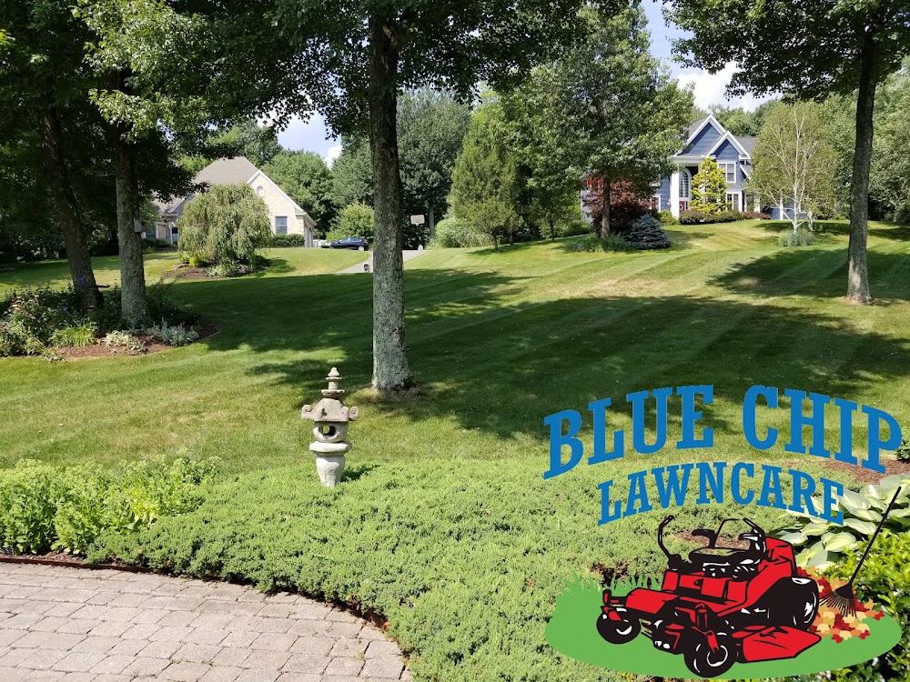 BlueChip Lawncare LLC