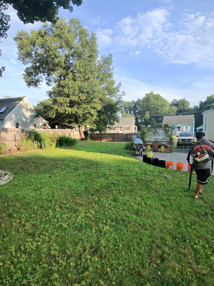 CP Mowing LLC