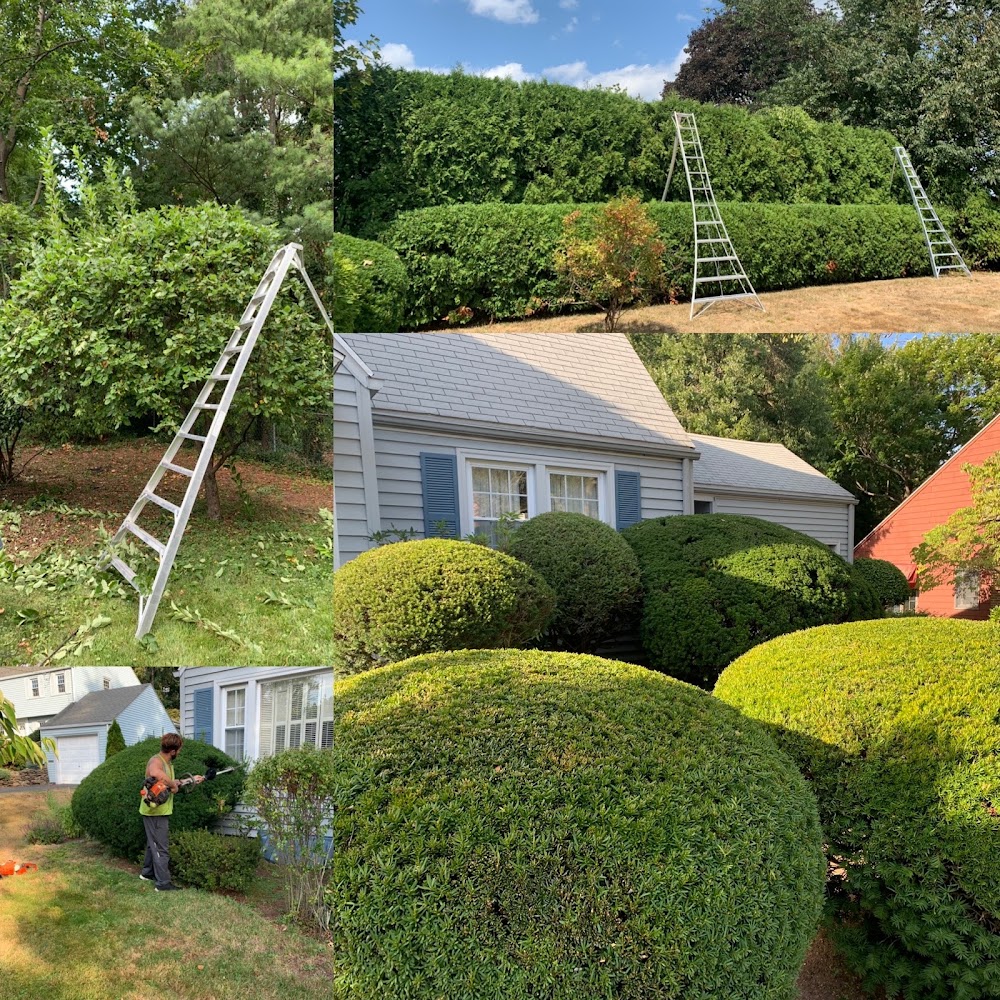 M.J.D Landscape Solutions LLC