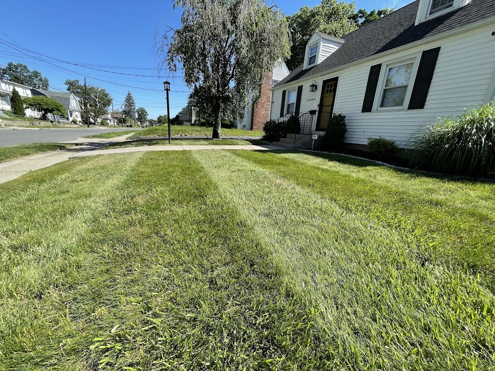 Connecticut Landscape Solutions, LLC