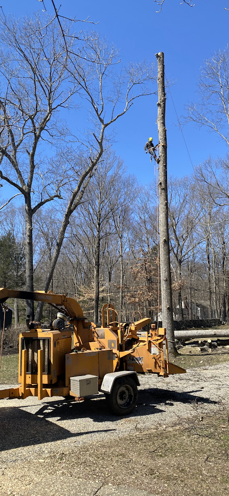 Blue Fox Landscaping Services LLC