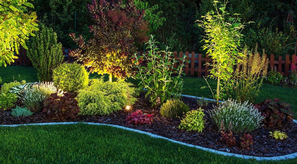 First Step Landscaping