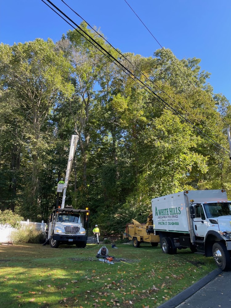 White Hills Landscaping & Tree Service, LLC