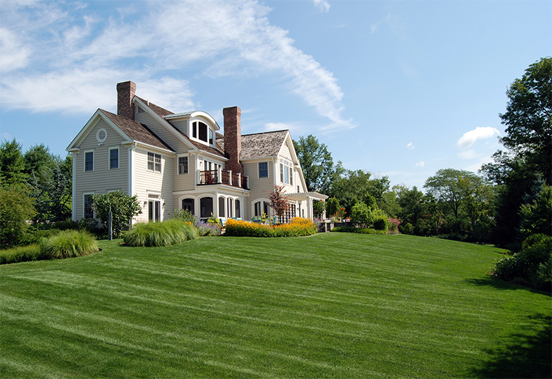 CT SOD