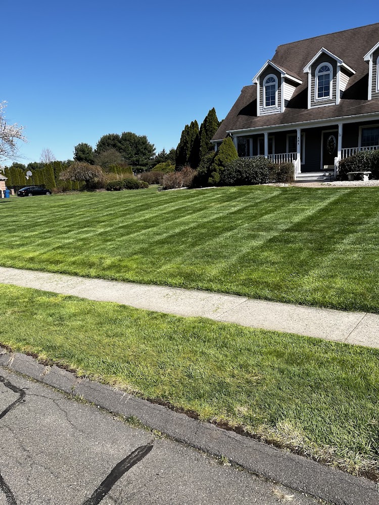 JG and Sons Landscaping and Design