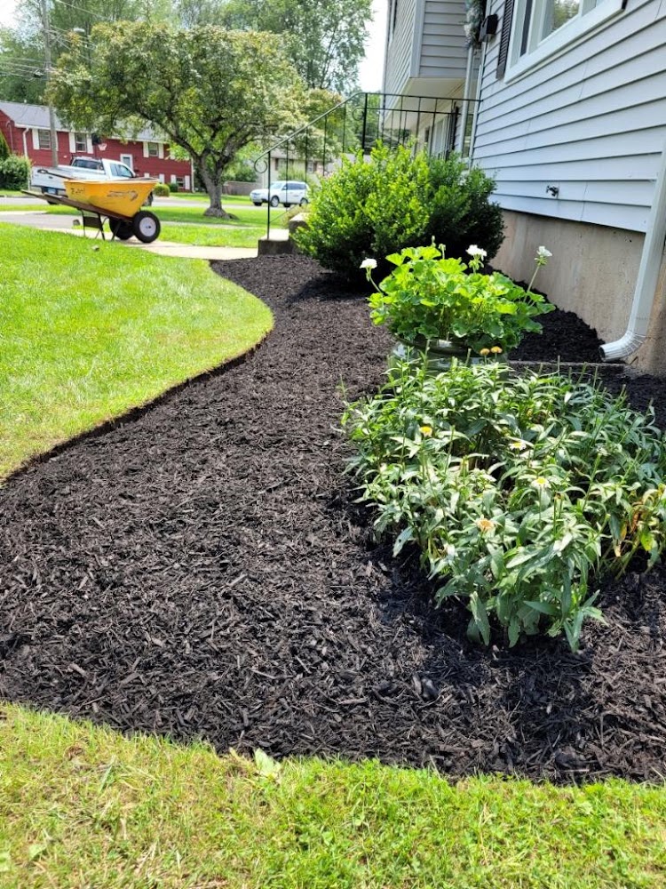 Cruz Landscaping LLC