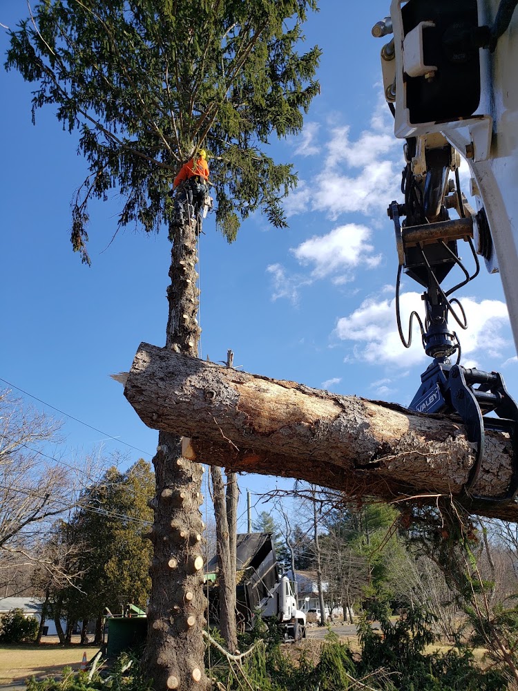 Bear Rock Landscaping llc
