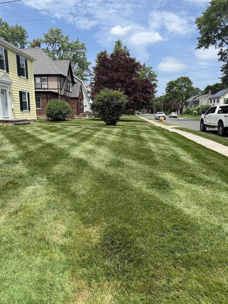 AK Landscaping