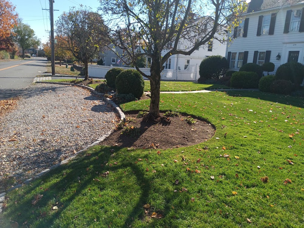 Lawn and property services
