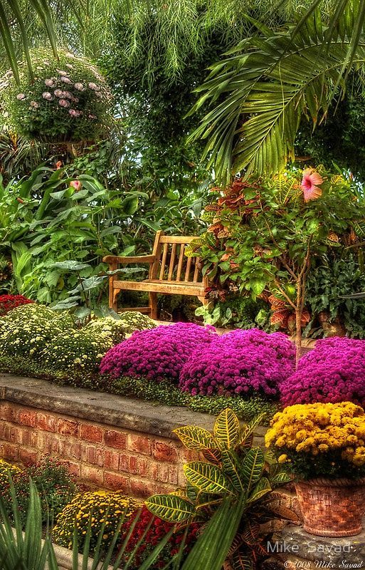 GOP Complete Landscaping