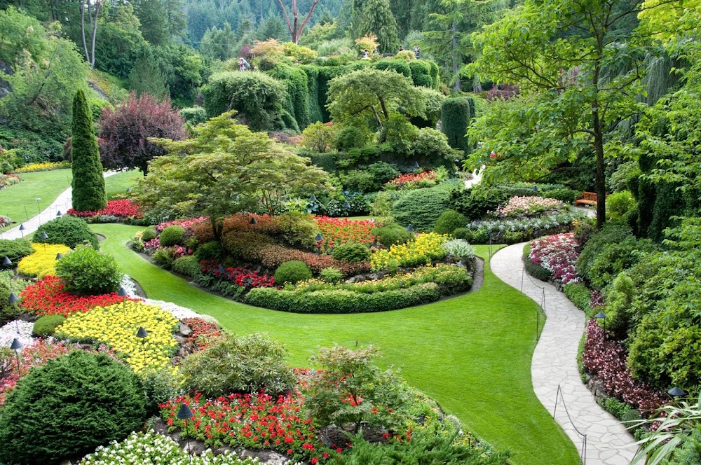 American Landscape
