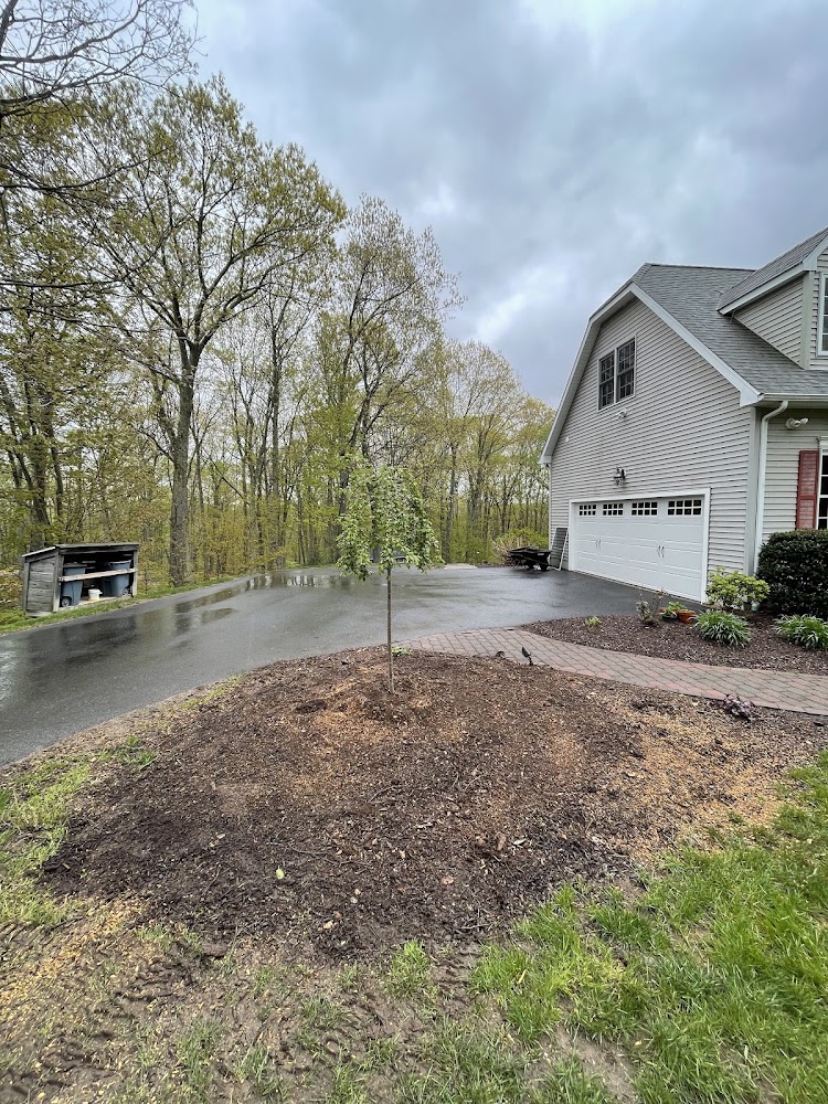 Hennessey Tree & Landscape LLC