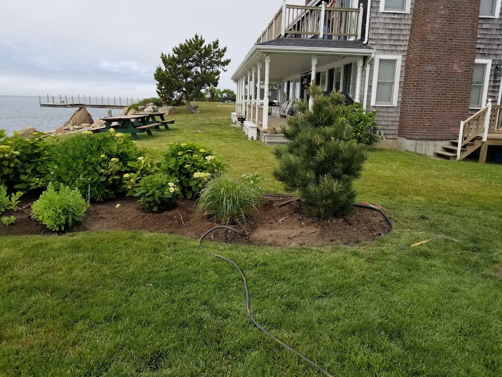 Ali'sgarden services