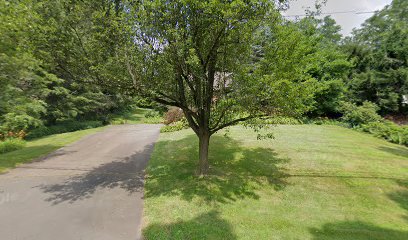 New Image Landscaping & Tree