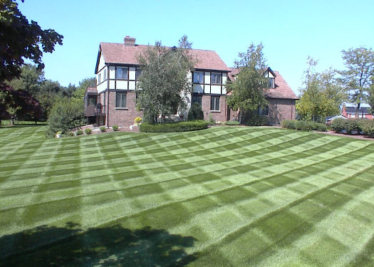 Red Carpet Landscaping