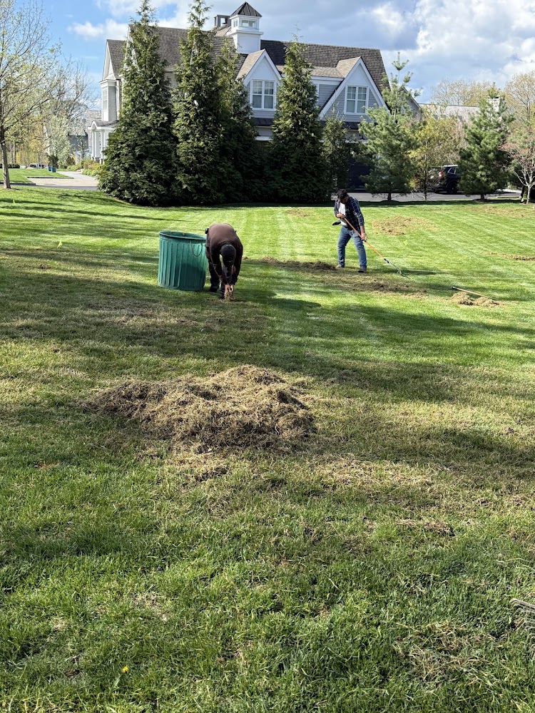 Cutting Crew Landscaping LLC