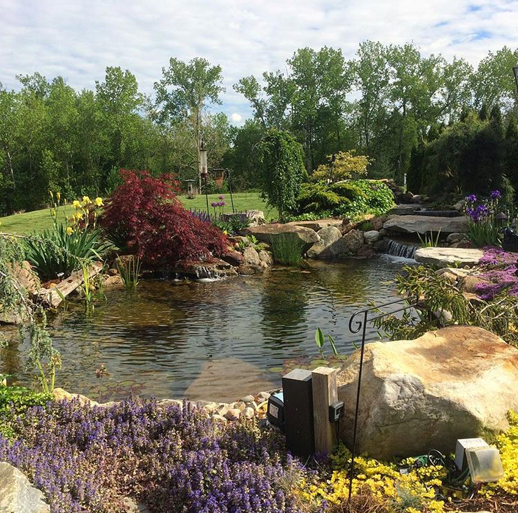 Aqua Scapes CT LLC