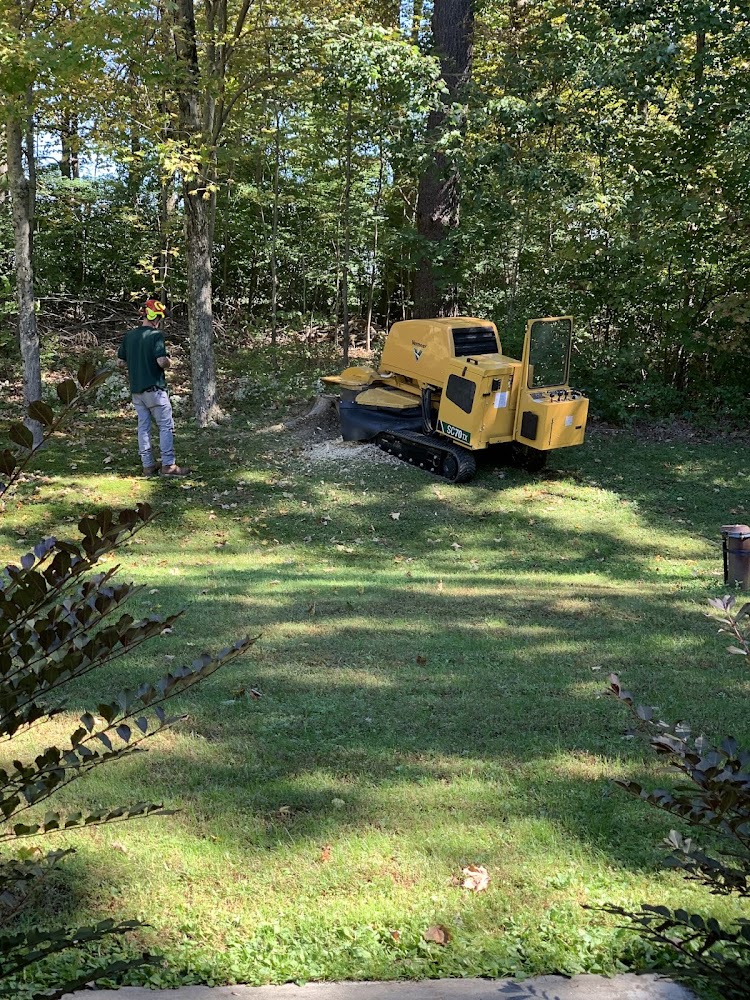 Hard to Reach Stumps