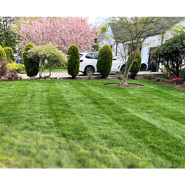 DRK Landscapes LLC - Eco-Friendly, All Electric Lawn Services