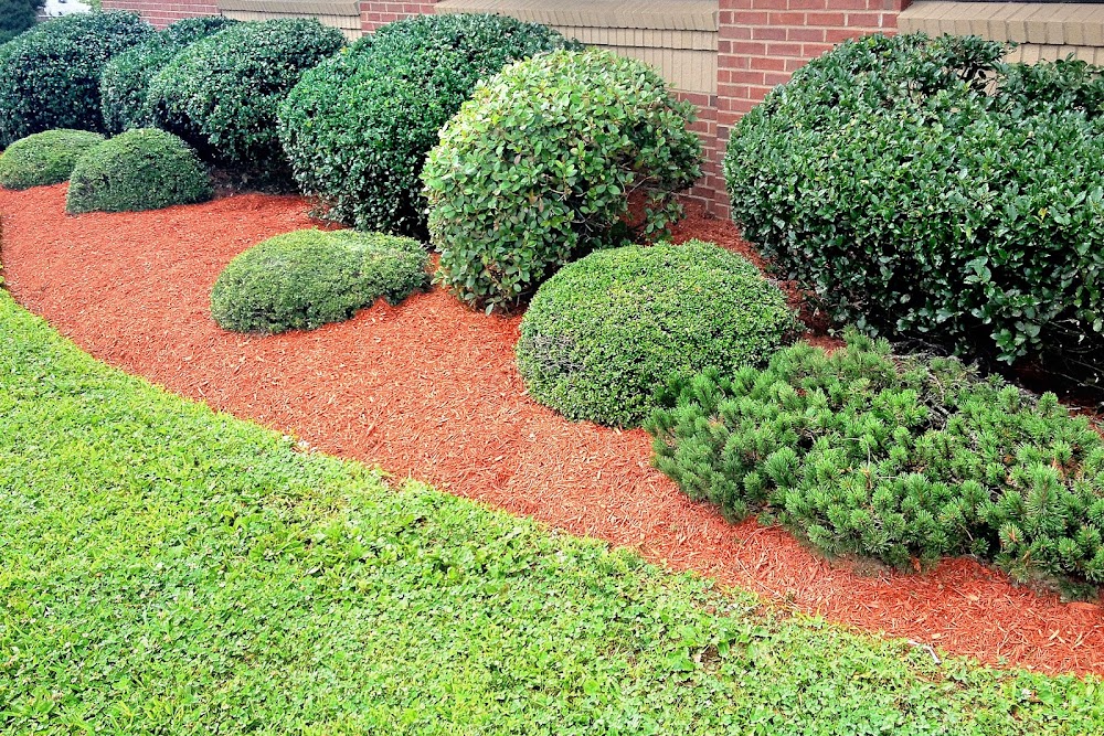 Eco Landscaping
