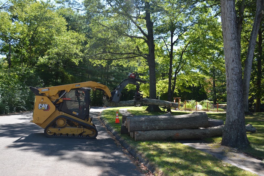 White Hills Tree Removal LLC