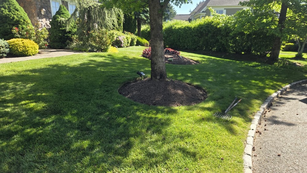 Sarmiento's Lawncare