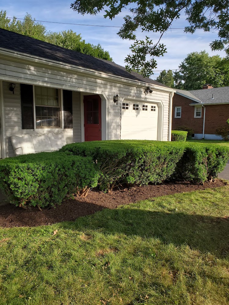 Limitless Realty Services LLC