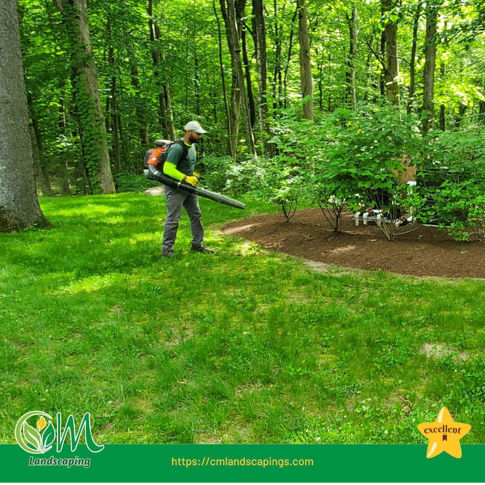 CM Landscaping And Snow Removal